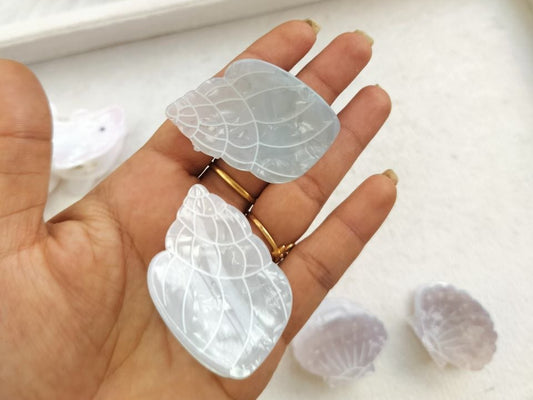 CornShell Marble Premium Fancy Claw - 1 piece